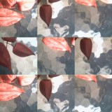 collage65.jpg