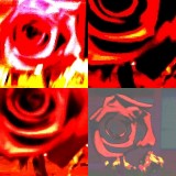 collage74.jpg