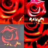 collage77.jpg