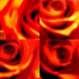 collage84.jpg