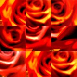collage85.jpg
