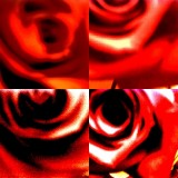 collage86.jpg