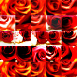 collage87.jpg