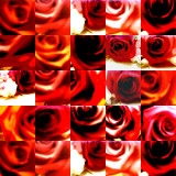 collage92.jpg