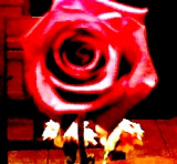 010.jpg
