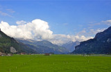 Alpine Farmland