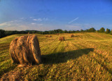 Rolled Hay