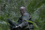 weaponoutfitterspublic
