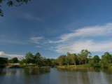 The Pond