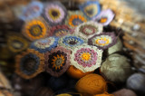 Natural crochet