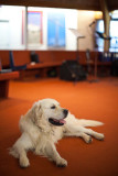 Sebastian at church