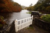 Cong Abbey