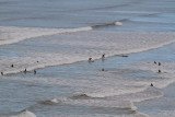Surfing in 4 inch waves
