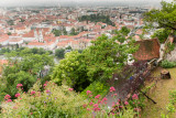 From the Castle Tower