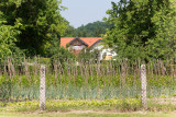 _Y8C4397.jpg