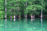 Norris Lake Green