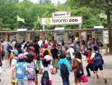 School Trip to Toronto Zoo