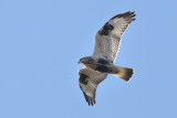DSC_8686.jpg