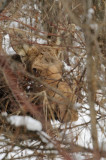 DSC_3219.jpg