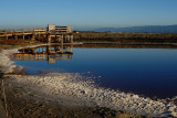 Cargill Salt Pond
