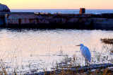 No r-egrets...