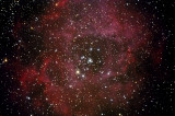 NGC2237 - The Rosette Nebula 26-Oct-2009