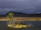 Transient Light Loch Awe