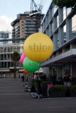 20110407_4074432 Shine (Thu 07 Apr)