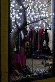 110521_061648_17868 The Lit Petals In The Window (Sat 21 May)
