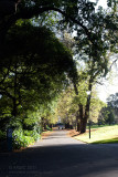 18152 09:24 Day 2 - Morning Light On The Walkway