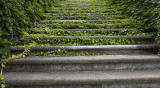 68_2637 Green Steps