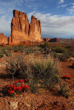 _30F3936Arches NP.jpg