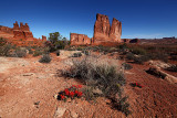 _MG_1445Arches NP.jpg