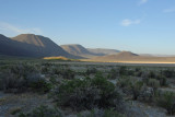 Eastern Oregon Desert