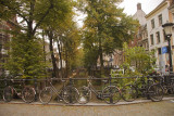 Bomen bruggen en fietsen