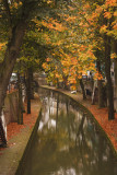 Grachten in herfstkleuren