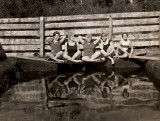 Old School Swimming Pool