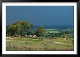 Landscape near Sterkfontein