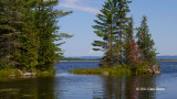 Morris Island Conservation Area