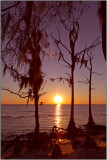 Sunset at Fontainebleau State Park