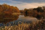 Brazos Bend State Park
