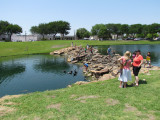 Feeding ducks, a nice day