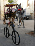 Frimpong in Malta - by Geraldine
