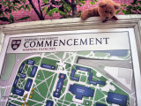 Harvard commencement 2011!!