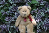 I'm resting on soft leaves...