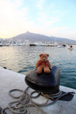 A smart place for a smart travelling bear...Puerto Banus!