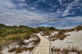 Walkway Tasman bay.jpg