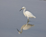 Snowy eget with reflexions