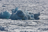 Pack ice berg