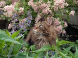 WEB_2012_6193644-02.JPG